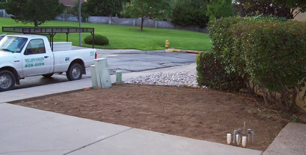 Pre-Xeriscaping Service