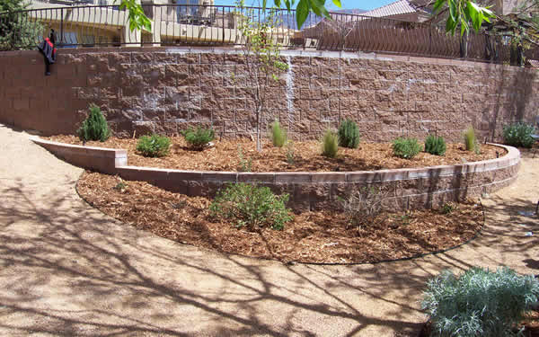 Beautifully Xeriscaped Backyard