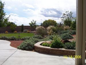 Beautifully Landscaped Yard