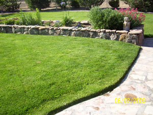 Lawncare Maintenance