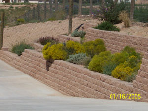 Backyard Wall Beauty