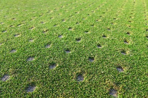 Lawn Aeration