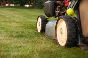 Lawn Mowing