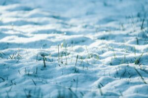 Image of snow covered grass needing to be winterized