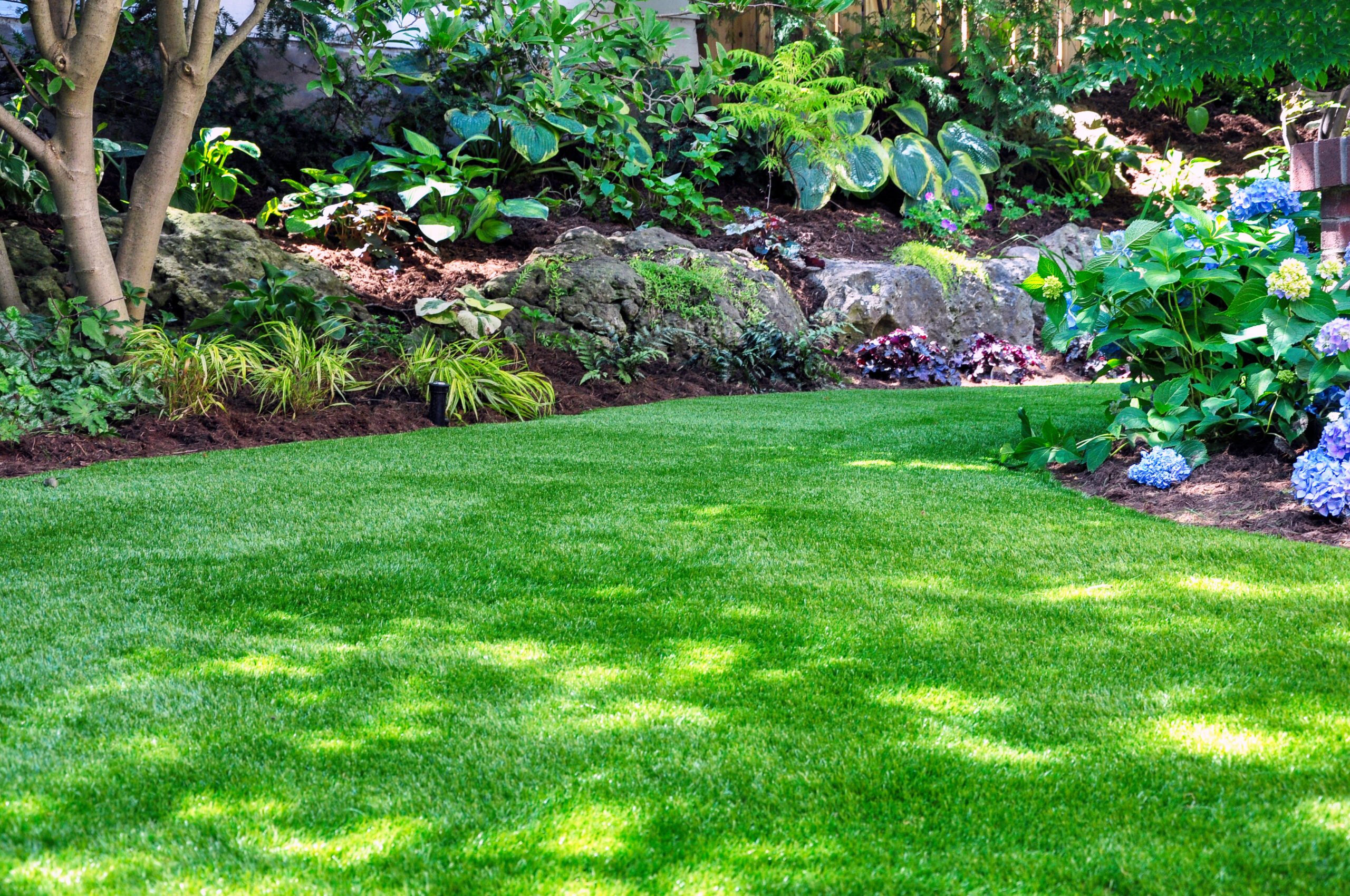 Image of a a beautiful lawn for Lawn Maintenance Services Near Me